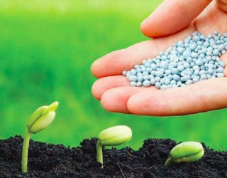 Doanh nghiệp ngành hóa chất, phân bón bùng nổ quý 1, lợi nhuận tăng bằng lần so với cùng kỳ 2021