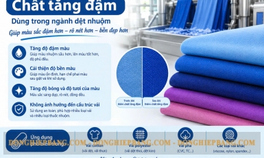 Chất tăng đậm